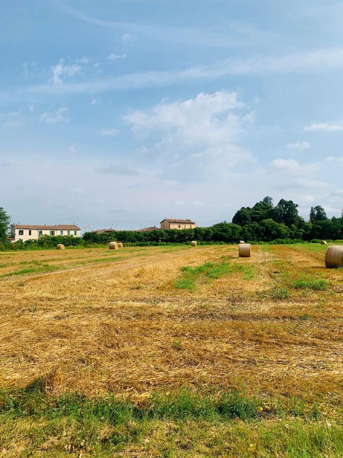 Appartamento Tra Verde E Citta ボローニャ エクステリア 写真